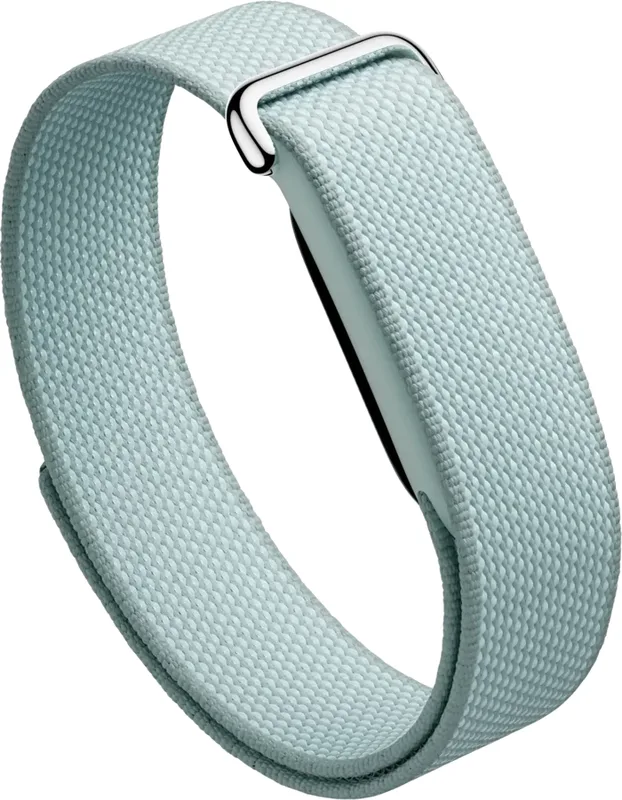 Google FitBit Air (Fog)