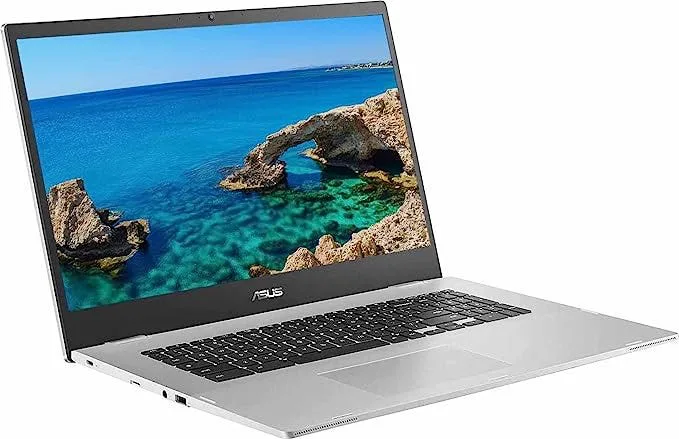 ASUS Chromebook 17,3-tums FHD-bärbar Dator