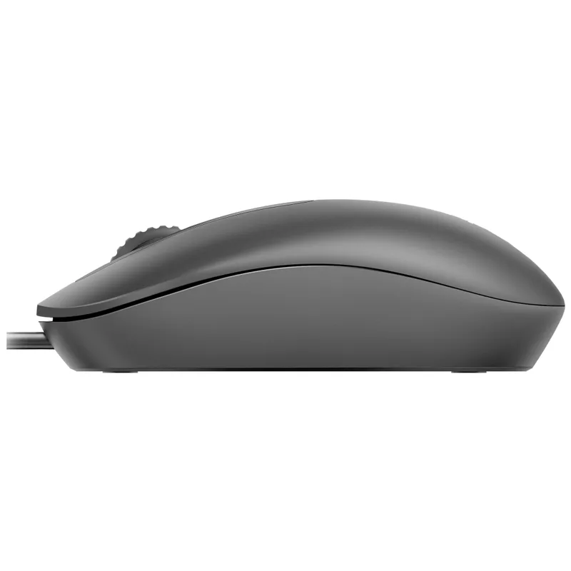 RAPOO Mus N200 USB Trådad Basic Optisk