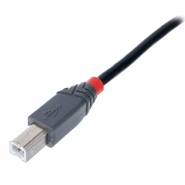 Lindy 5 m USB 2.0 typ A till mini-B-kabel