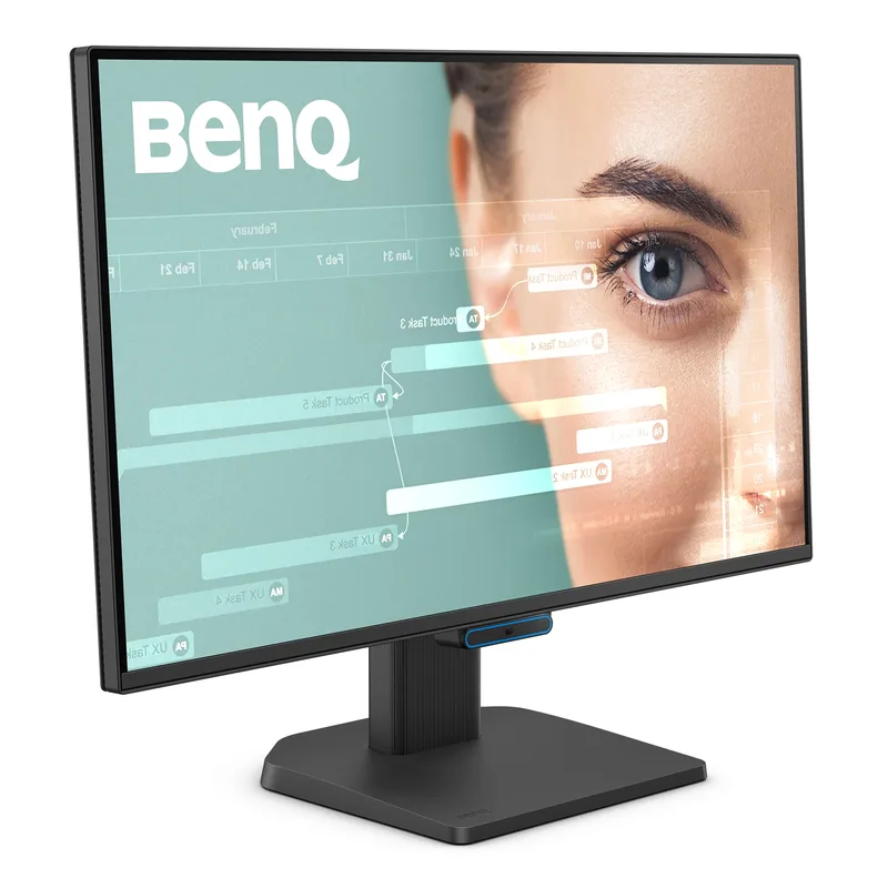 BenQ GW2490TE