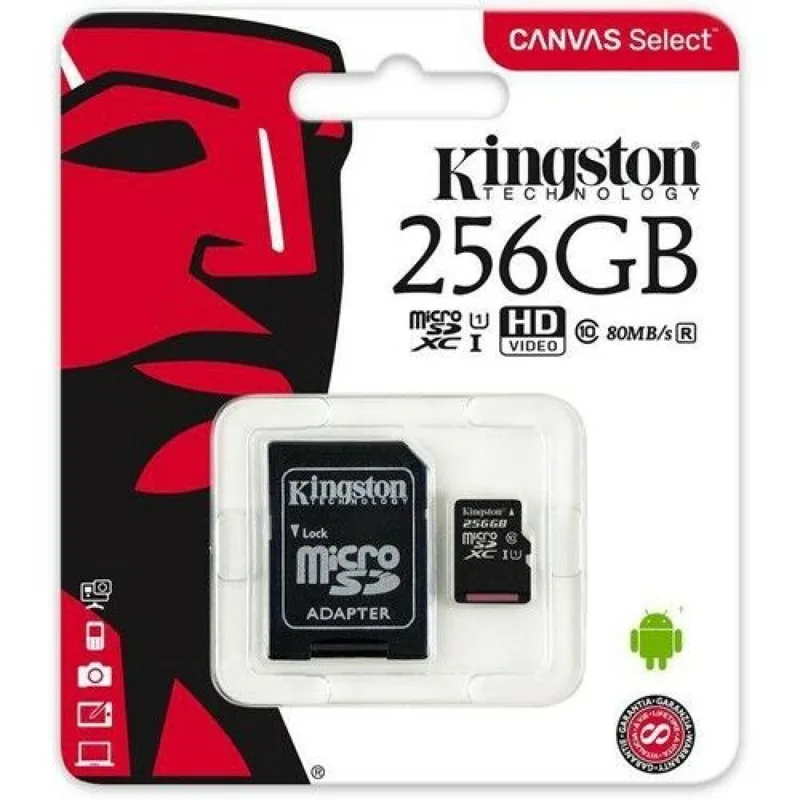 Kingston SDCS/256 GB MicroSD Canvas Select