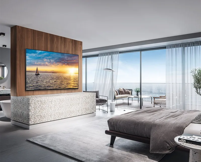 Samsung Premium HAU800 Hotel TV 55"