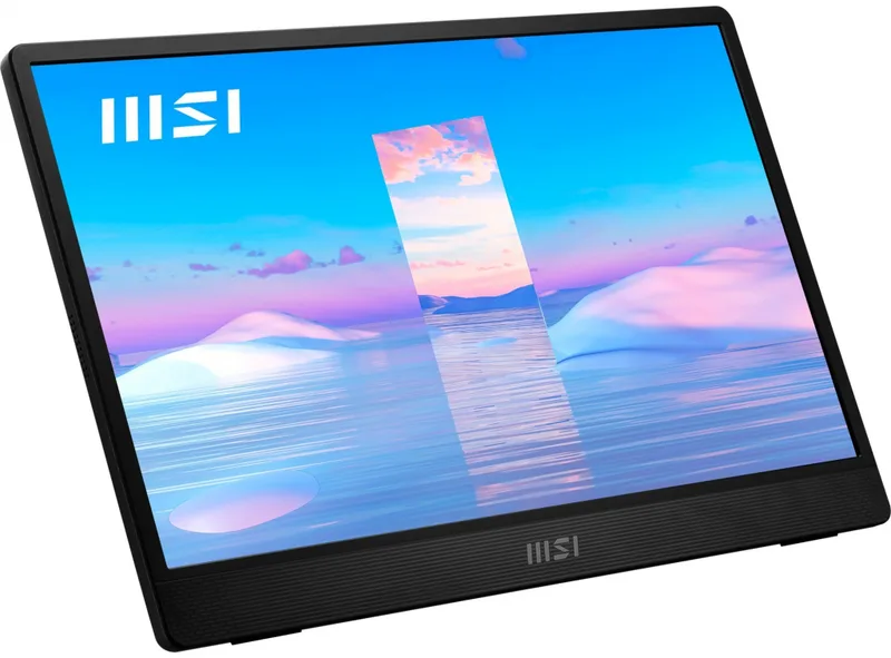 MSI PRO MP161DE