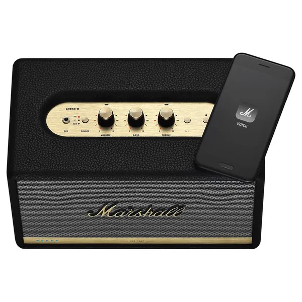 Acton II Voice