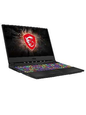 MSI GL65 10SFSK-462 Leopard