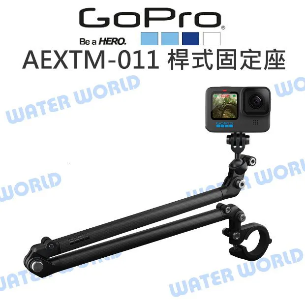 GoPro AEXTM-011 action