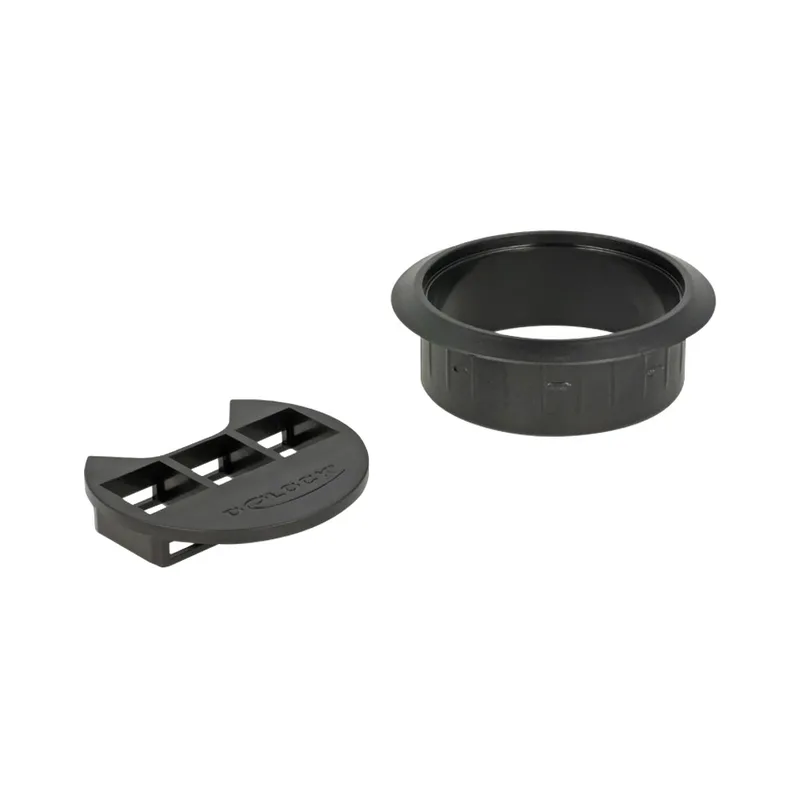 Delock Keystone Mounting