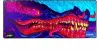 X-GAMER Musmatta Dragon Fin 1100x450